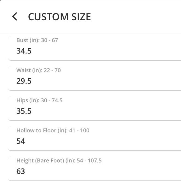 A-Line Lace Chiffon Bridesmaid Wedding Dress Dusty Rose - Picture 10 of 13